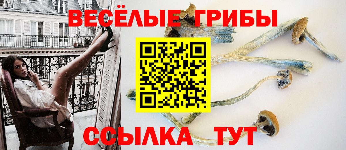 Псилоцибиновые грибы Cubensis  Долгопрудный 